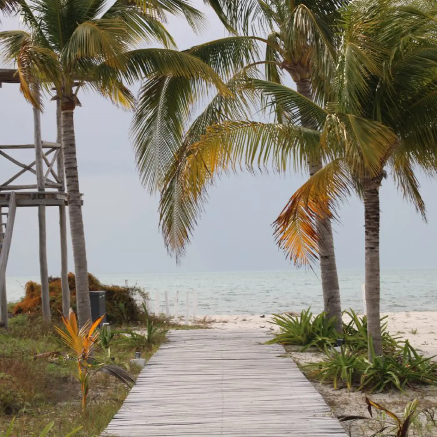 Servicio Acceso Playa